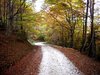 La tardor a L'Ariège.