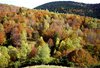 La tardor a L'Ariège.