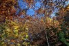 La tardor a L'Ariège.