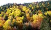 La tardor a L'Ariège.