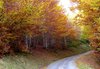 La tardor a L'Ariège.