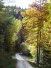 La tardor a L'Ariège.