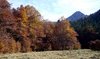 La tardor a L'Ariège.