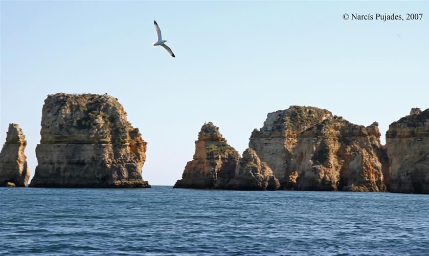 Ponta da Piedade (Lagos)