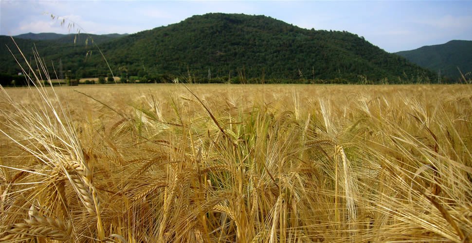 Pla de Sant Joan