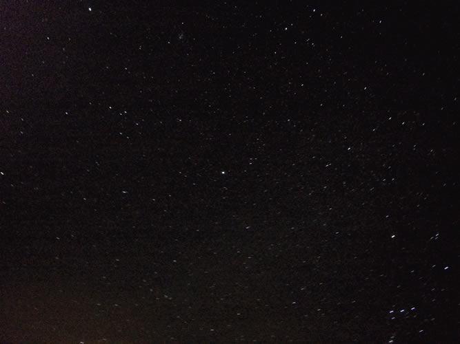 nocturna 014
