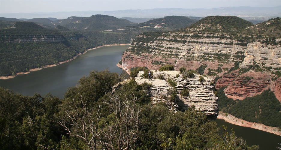 Cim del Puig de la Forca.