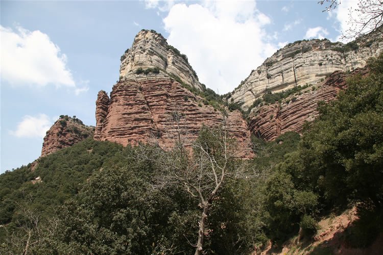 Puig de la Força des de la pista vora el pantà.