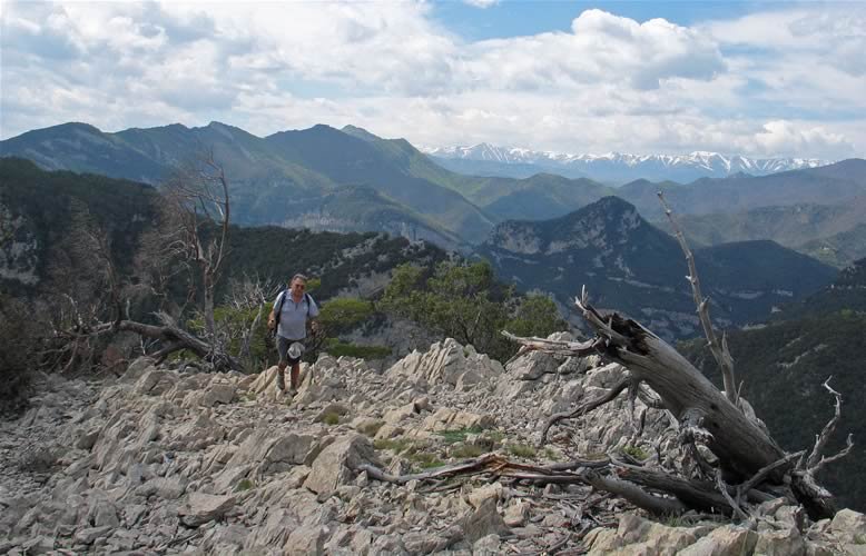 Per el Caire de Comadells amb el pirineu al fons.