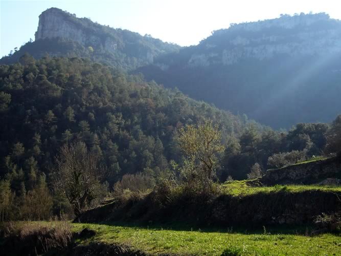 Grau de les Avellanes