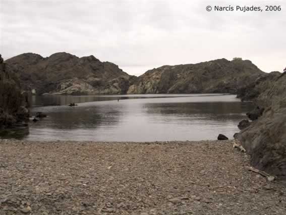 creus0001