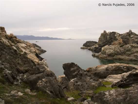 creus0004