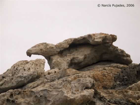 creus0005