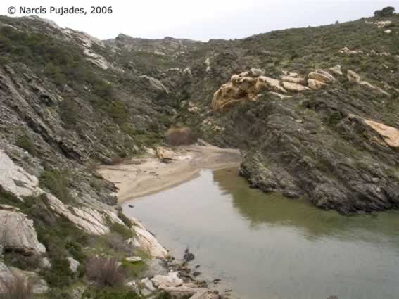 creus0008