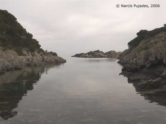 creus0013