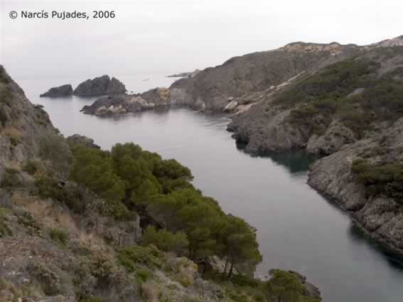 creus0015