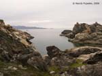 creus0004