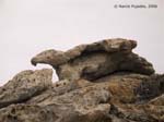 creus0005