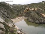 creus0008