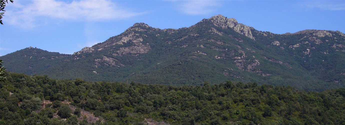 Des del Perthus, vista del Puig de Sant Cristau.