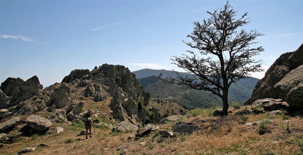 Baixant al coll de la Font, amb el Puig Neulós al fons.