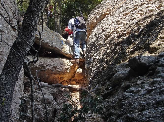 Baixant cap el Coll del Porc.