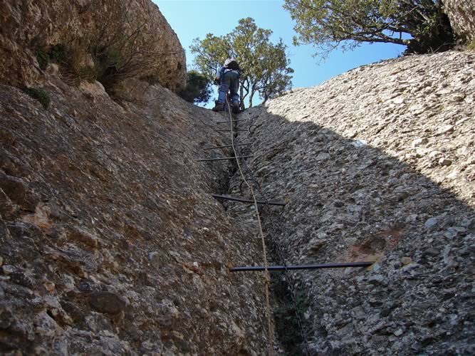 Baixant cap el Coll del Porc.