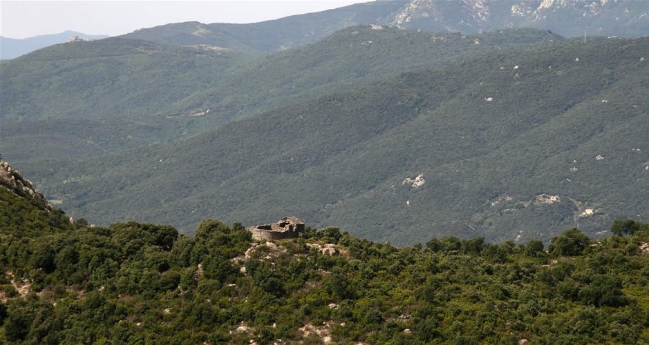 Sant Pere del Pla de l'Arca, des del Mas Nou