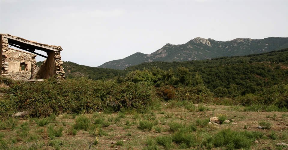 El Mas Nou, amb les roques de Sant Cristau al fons.