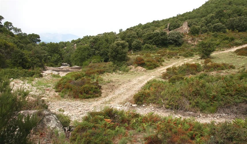 Gual sobre el Llobregat d'Empordà, amb les ruïnes del Mas de l'Illa al darrera.