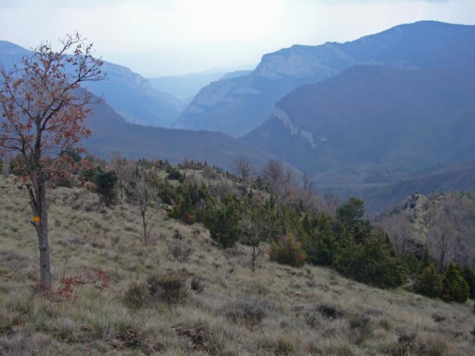 Vall de Sadernes al fons.