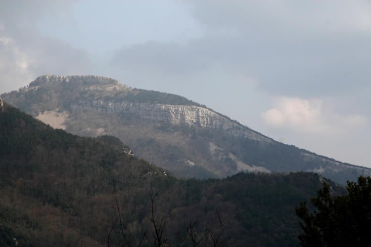 El Bassegoda des de Ribelles.