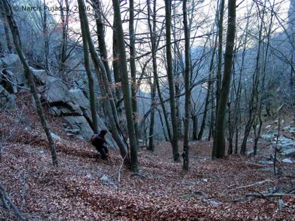 montseny_5