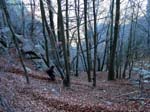 montseny_5