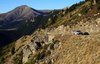 Pujant a la collada de les Roques Blanques (2.252m). Amb el Costabona al fons.