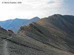 2 Torreneules al fons