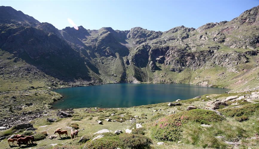 Estany de Mès Amunt.